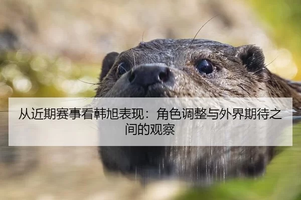 从近期赛事看韩旭表现：角色调整与外界期待之间的观察